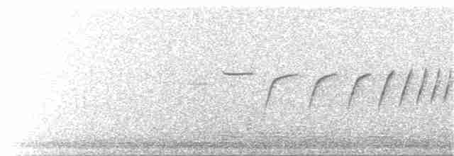Черногорлая малая овсянка - ML61215571