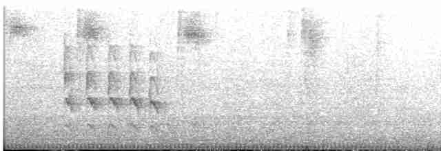 Kundinamarka Dikenkuyruğu - ML612156279