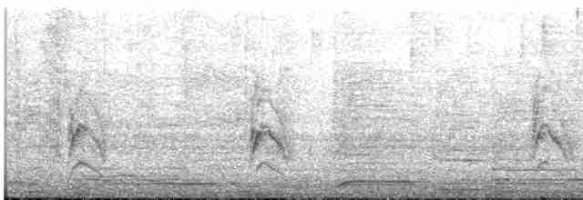 Kundinamarka Dikenkuyruğu - ML612156281