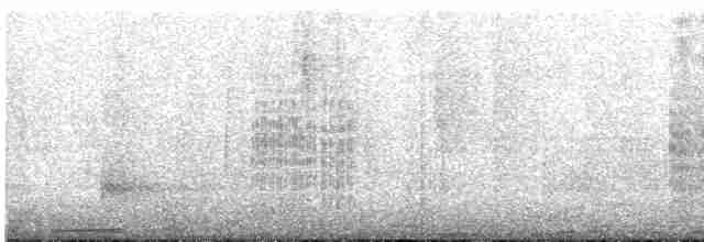 Kundinamarka Dikenkuyruğu - ML612156284