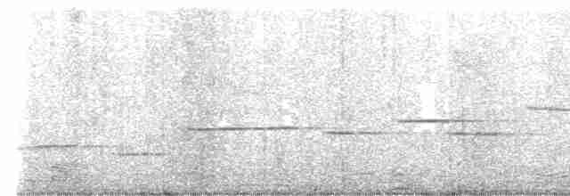 blåplystretrost (flavirostris gr.) - ML612156503