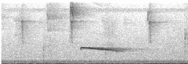 Серошапочный сорокопутовый виреон - ML612158413