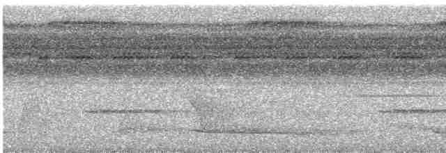 Белобрюхая гологлазка - ML612158973