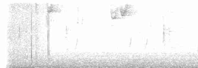 "Шишкар ялиновий (Sitka Spruce, або тип 10)" - ML612161597