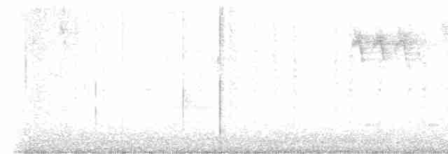 "Шишкар ялиновий (Sitka Spruce, або тип 10)" - ML612163229
