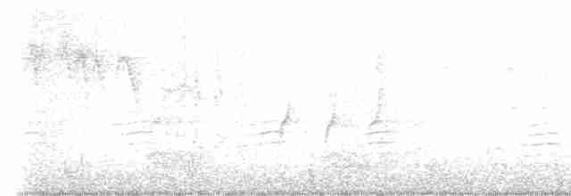 "Шишкар ялиновий (Sitka Spruce, або тип 10)" - ML612163238