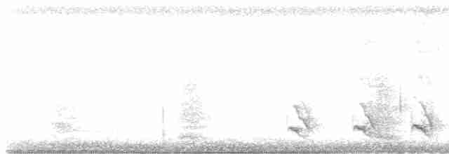 Kara Tepeli Karıncaavcısı - ML612165762