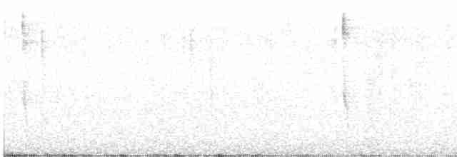 Тихоокеанский крапивник - ML612166131