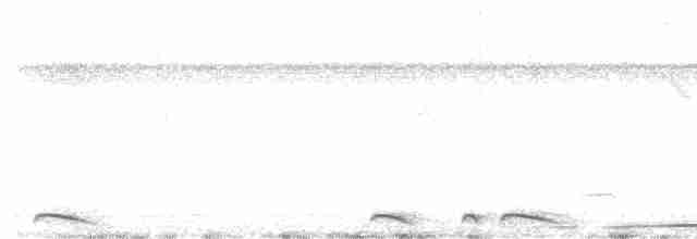 holoubek šupinkový - ML612166340
