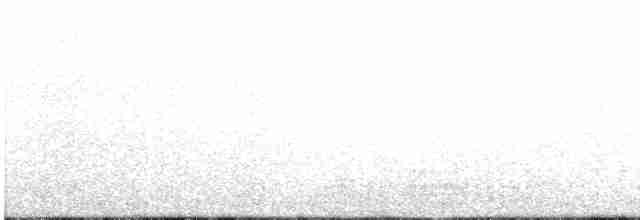 אורייה חייכנית - ML612167149