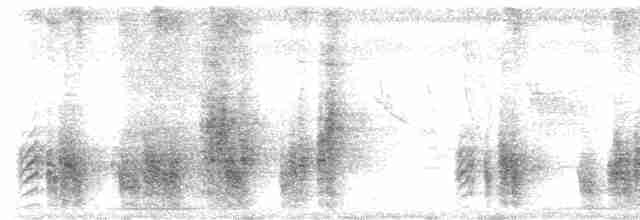 Çizgili Sırtlı Çıtkuşu - ML612167167