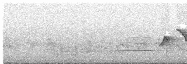 Brownish-flanked Bush Warbler - ML612169972