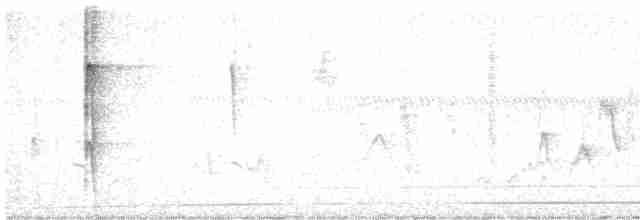 strakapoud proužkohřbetý - ML612170214