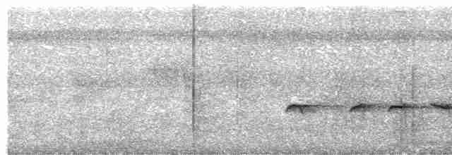 Strichelschulter-Ameisenschnäpper - ML612170871