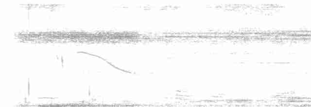 White-tailed Nightjar - ML612171395