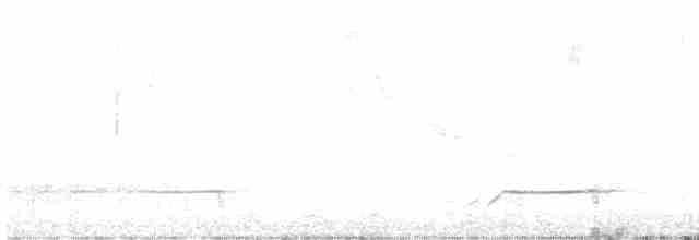 Kara Boğazlı Kolin - ML612172466