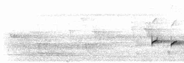 Белогорлая ложнопищуха (minor) - ML612174508