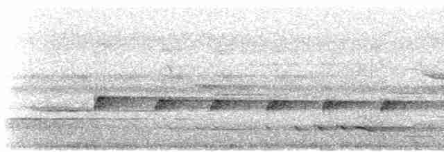 Королаз плямистобокий (підвид minor) - ML612174510