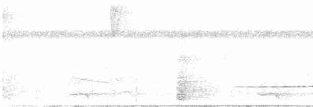 Little Tinamou - ML612174595