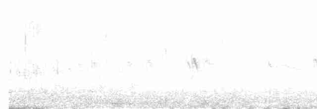 Red Crossbill (Western Hemlock or type 3) - ML612174615