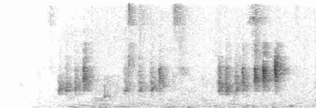 Troglodyte à poitrine grise - ML612177471