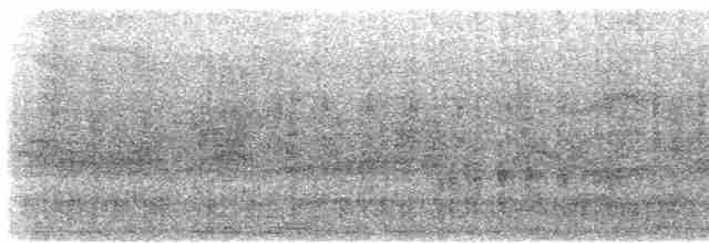 黑玄燕鷗 - ML612177513