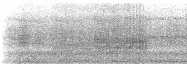 黑玄燕鷗 - ML612177516