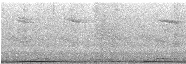 holub pobřežní - ML612177557