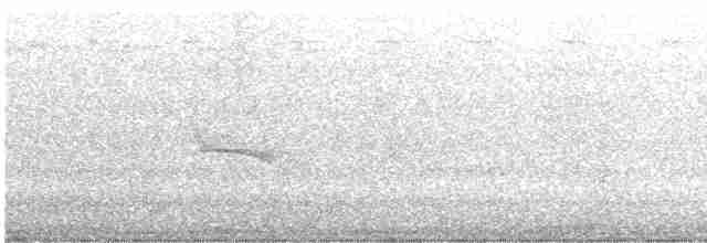 Torresian Imperial-Pigeon - ML612177580