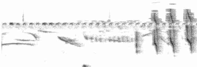 Straight-billed Reedhaunter - ML612178105