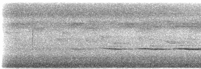 Тонкоклювый цикадник [группа tenuirostre] - ML612178150