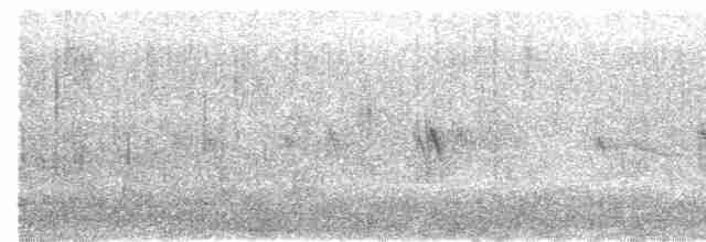 Red Crossbill (Western Hemlock or type 3) - ML612179200