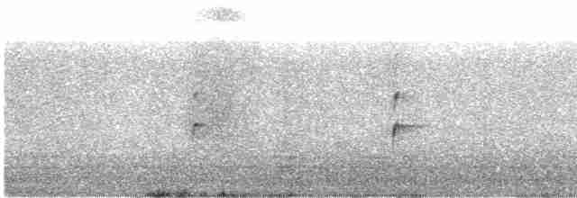 Поплітник каролінський - ML612180897