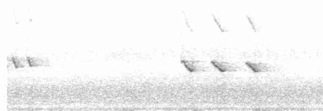 Ошейниковая нектарница - ML612186390