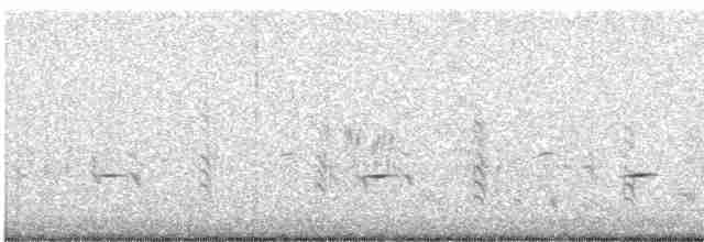 Psophode carillonneur - ML612186657