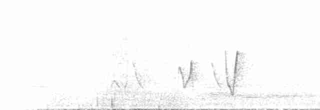 Rufous Whistler - ML612186727