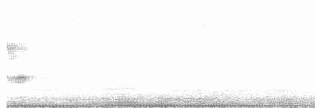Black-bellied Starling - ML612186922