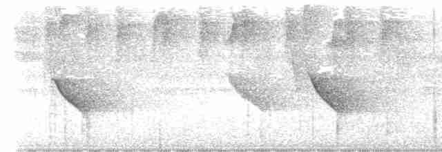 White-throated Shrike-Tanager - ML612188701