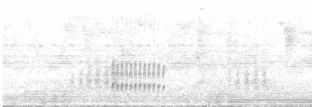 Eufonia Violácea - ML612188786