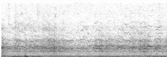 אווז לבן-מצח - ML612191252