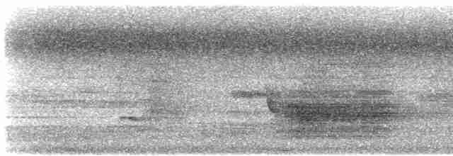 Кэрнский веерокрыл - ML612191584
