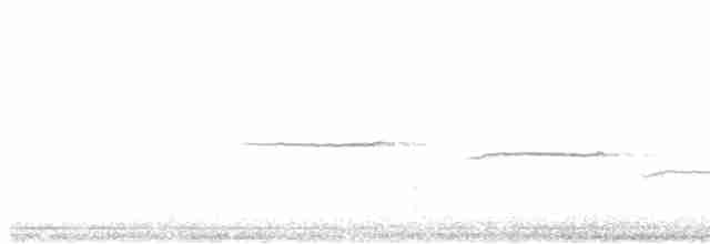 Bruant à gorge blanche - ML612191891