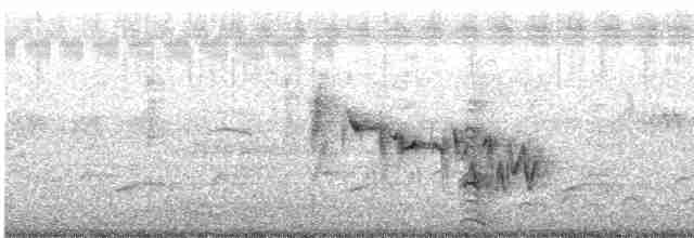 アオハウチワドリ（flaviventris グループ） - ML612191931
