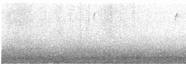 Пестрогрудая овсянка (Лисья) - ML612192989