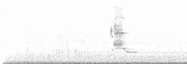 Loggerhead Shrike - ML612193384