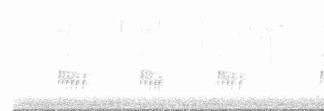 Каролинский крапивник - ML612193504