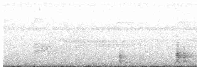 Gök Sakallı Arıkuşu - ML612194409