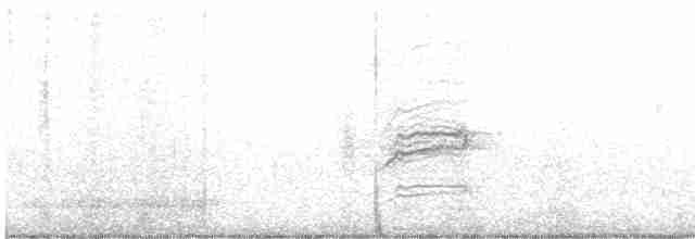 Дрізд-короткодзьоб плямистоволий - ML612194601