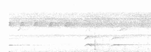 Синелобая якамара - ML612196713
