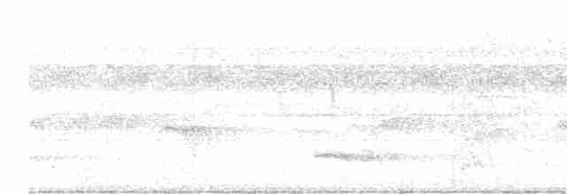 Мурав’янка-прудкокрил перуанська - ML612196868